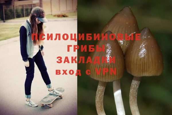 твердый Абаза