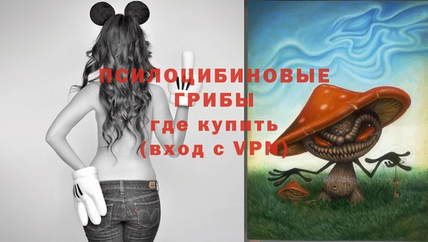 твердый Абаза