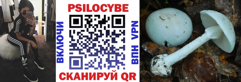 Псилоцибиновые грибы Magic Shrooms  Заринск 